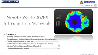NewtonSuite AVES